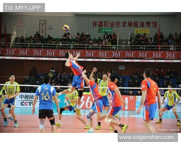 专访陈伟：深入探讨排球背后的成功秘诀与训练哲学