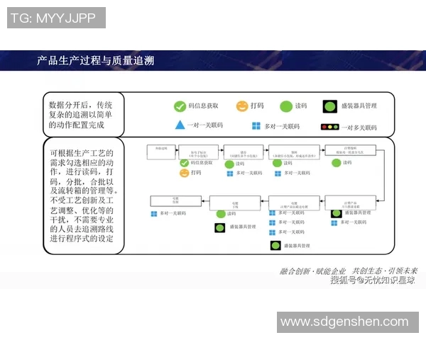 以数字化转型为驱动推动网络基础设施建设与升级提升信息化水平和产业竞争力
