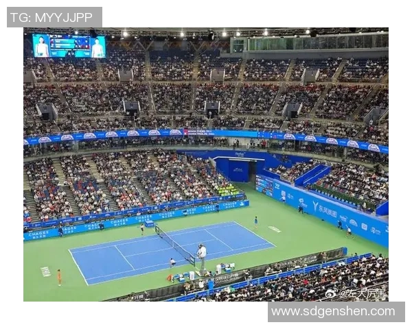 武汉网球队技术争议引发热议球迷与专家各执己见探讨未来发展