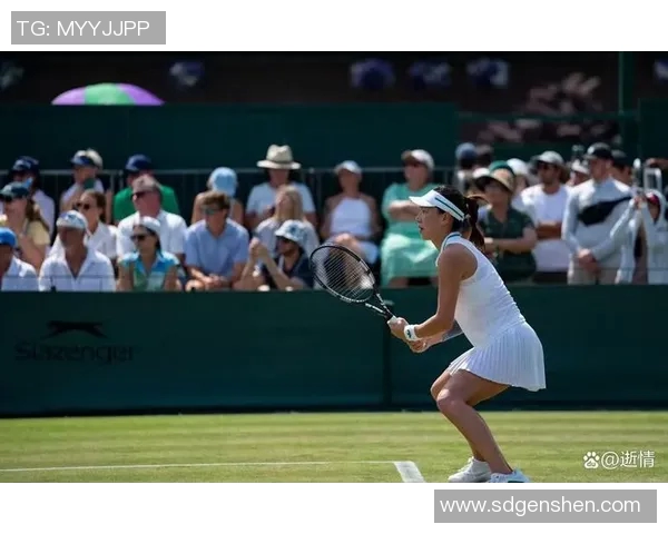 北京网球队表现优异最新网球状态TOP10榜单揭晓