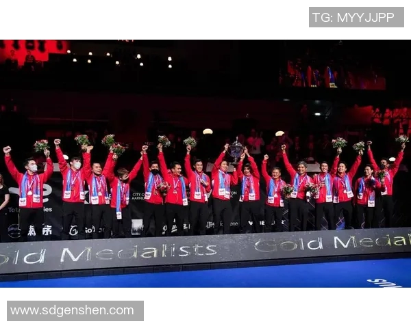 南京羽毛球队杯赛征程回顾与突破成就的深度剖析