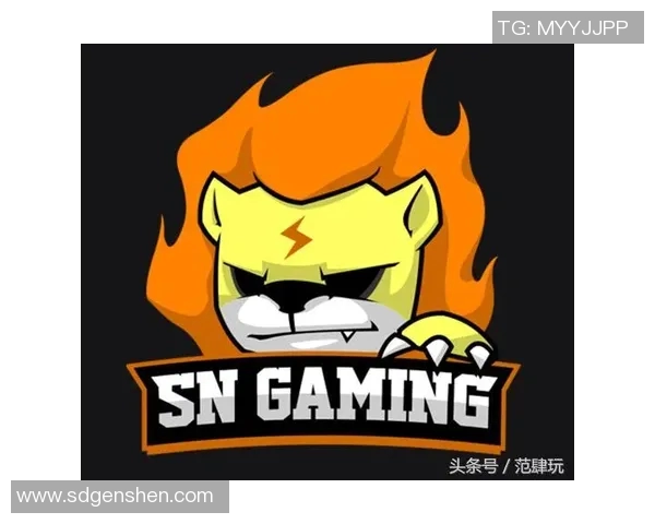 DOTA2深度解析LNG战队运营策略与成功之道揭秘