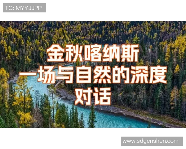陈强的排球人生：从热爱到荣耀的深度对话与心路历程分享